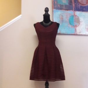 Ashley Graham Beyond/Netted/ Striped / Skate/Dress